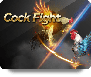 Tăng cơ hội chiến thắng với ZingPlay Dự Đoán Chuẩn